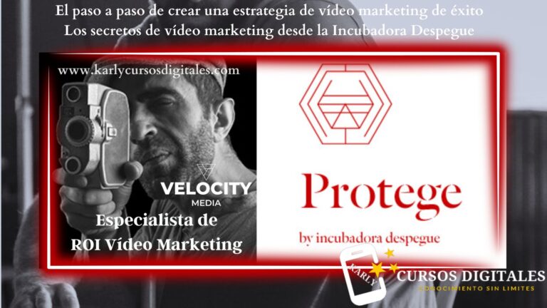 Especialista De Roi V Deo Marketing Protege Incubadora Despegue